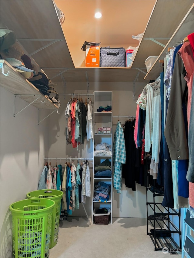 view of spacious closet