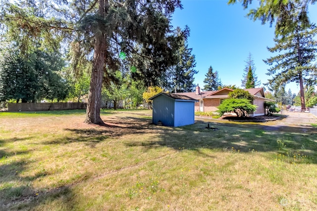 view of yard featuring a shed