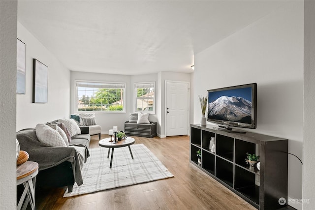 living area with wood finished floors and baseboards