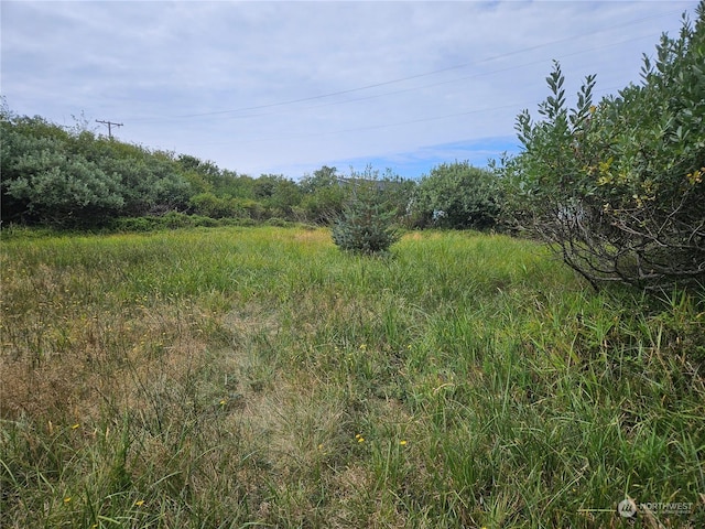 Listing photo 3 for 634 Canal Dr NE, Ocean Shores WA 98569