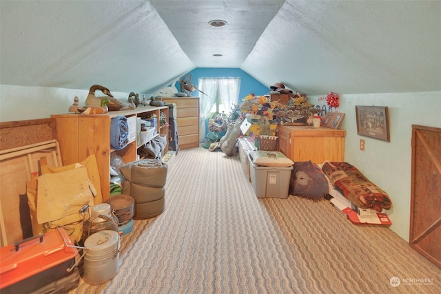 additional living space with lofted ceiling, a textured ceiling, and light colored carpet