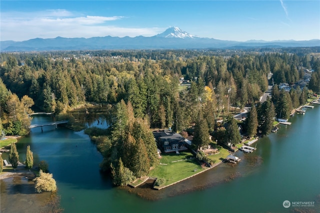 birds eye view of property featuring a water and mountain view