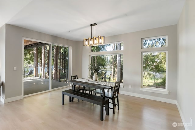 dining room featuring a notable chandelier, plenty of natural light, and light hardwood / wood-style floors