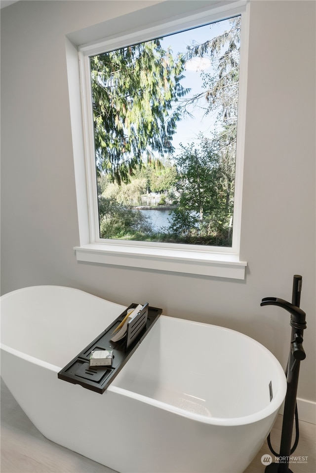 bathroom with a tub to relax in and a wealth of natural light