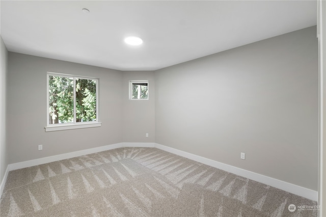 empty room featuring carpet floors