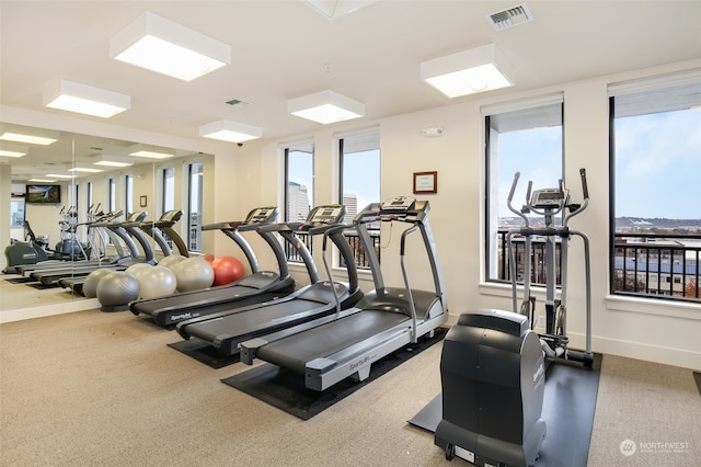 exercise room with carpet and plenty of natural light