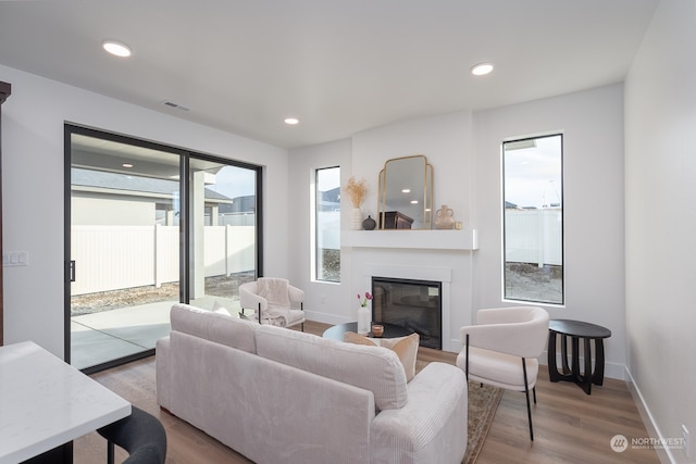 living room featuring wood-type flooring