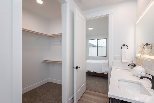 bathroom with wood-type flooring and vanity