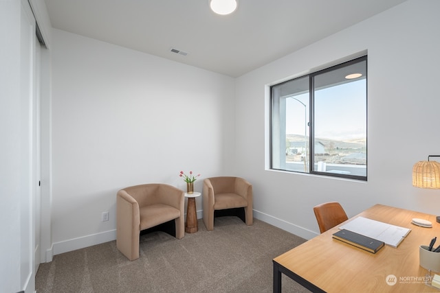 office area featuring carpet flooring