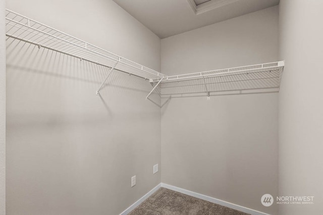 spacious closet with carpet flooring