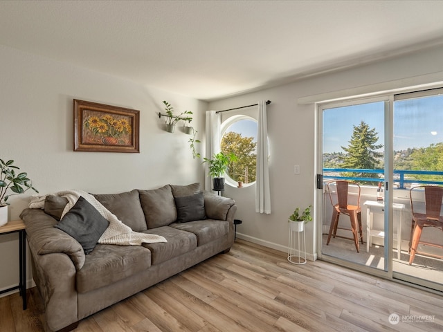 living room featuring light hardwood / wood-style flooring and a healthy amount of sunlight