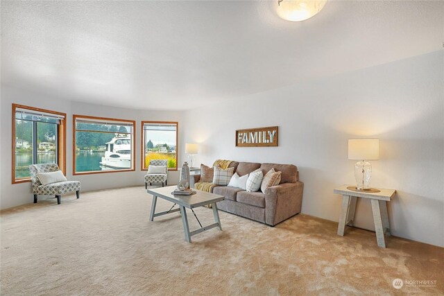 37657 Teel Ln NE, Hansville, WA 98340 - photo 10