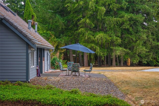 view of yard with a patio