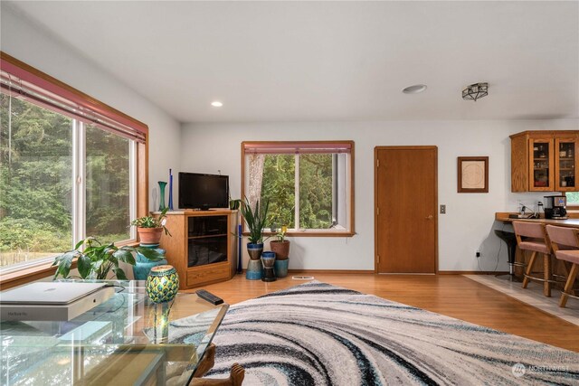 living room featuring light wood-type flooring and a healthy amount of sunlight