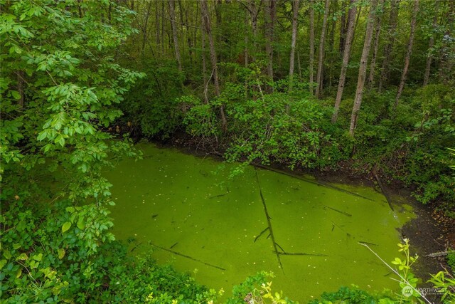 view of local wilderness