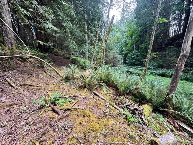 17 Black Bear Ct, Bellingham, WA 98229 - photo 4