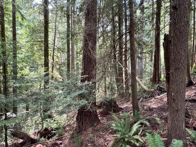 17 Black Bear Ct, Bellingham, WA 98229 - photo 7