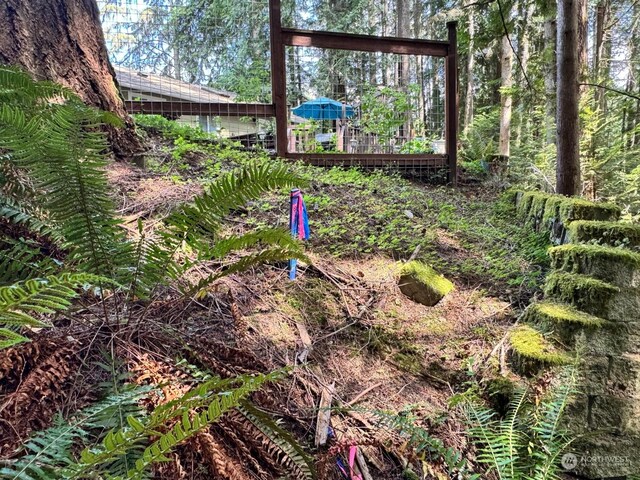 17 Black Bear Ct, Bellingham, WA 98229 - photo 8