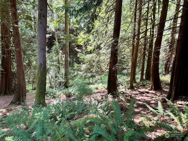 17 Black Bear Ct, Bellingham, WA 98229 - photo 9