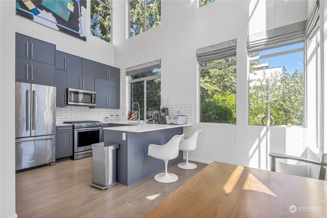 kitchen featuring plenty of natural light, stainless steel appliances, kitchen peninsula, and light hardwood / wood-style floors