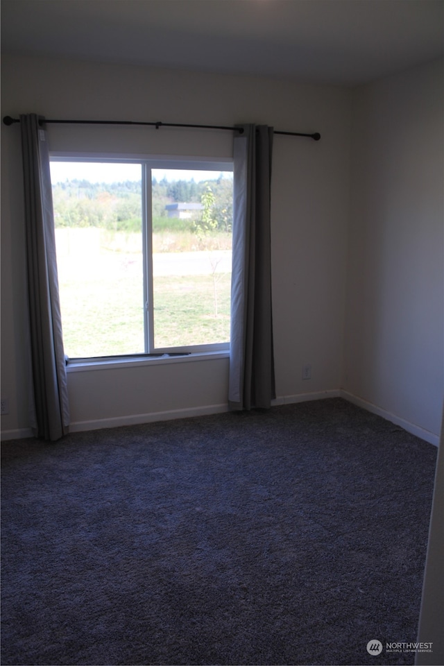 spare room with plenty of natural light and carpet floors