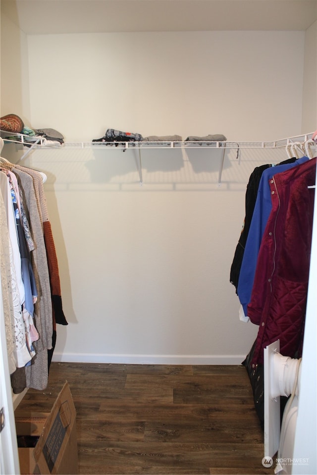 walk in closet with dark hardwood / wood-style flooring