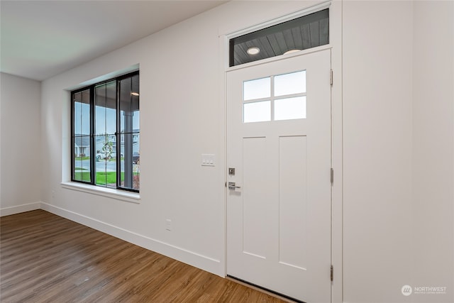 foyer entrance featuring hardwood / wood-style flooring and a healthy amount of sunlight