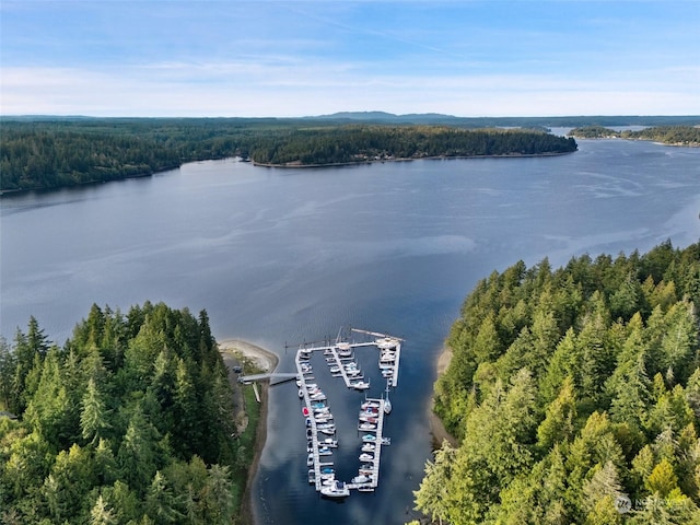 birds eye view of property featuring a forest view and a water view