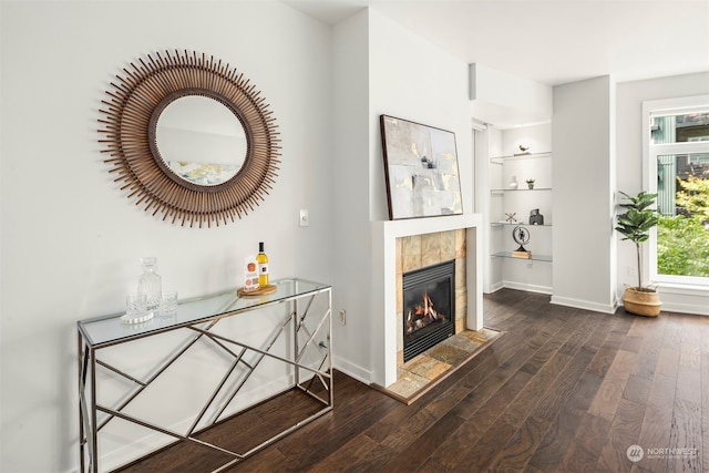 hallway featuring plenty of natural light and dark hardwood / wood-style flooring