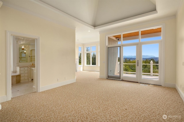 unfurnished room featuring ornamental molding, a towering ceiling, a mountain view, and a healthy amount of sunlight