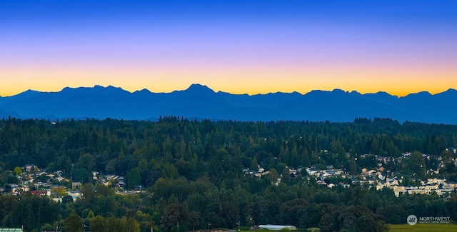 mountain view with a forest view