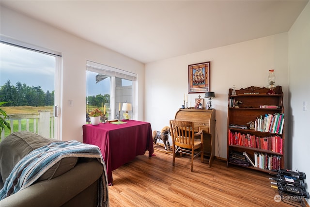 living room featuring hardwood / wood-style flooring