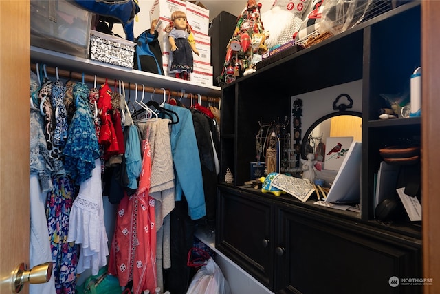 view of spacious closet