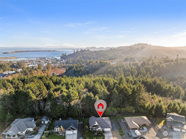 1001 Lakeview Dr, Ilwaco, WA 98624 - aerial view of property and surrounding area with nearby suburban area