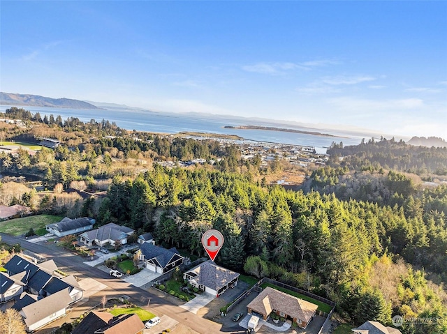 1001 Lakeview Dr, Ilwaco, WA 98624 - aerial overview of property's location with a water and mountain view and nearby suburban area