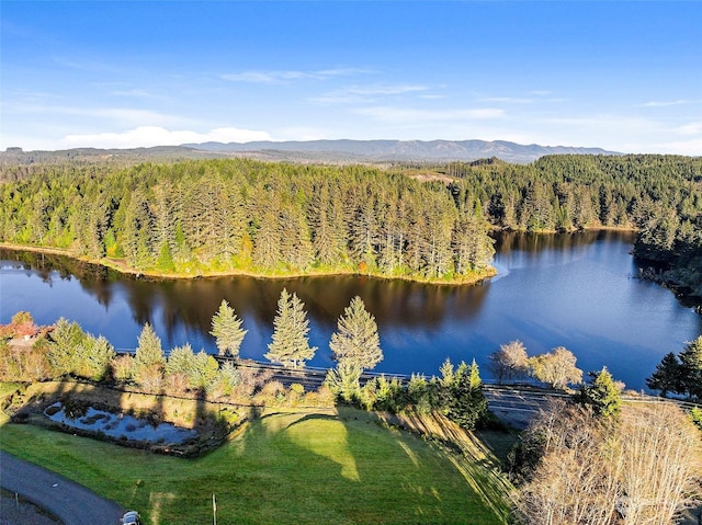 1001 Lakeview Dr, Ilwaco, WA 98624 - drone / aerial view of a forest and a water and mountain view