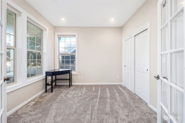 interior space with a closet and carpet