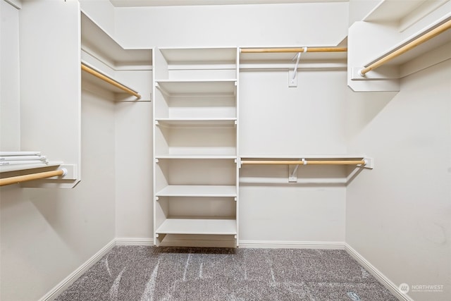 walk in closet featuring dark carpet