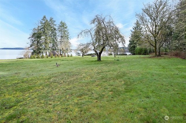 view of yard with a water view