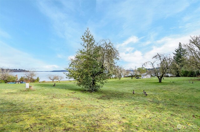 view of yard featuring a water view