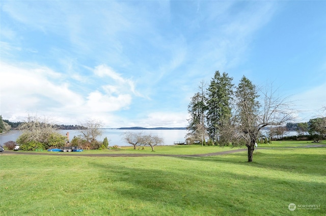 view of community featuring a lawn and a water view