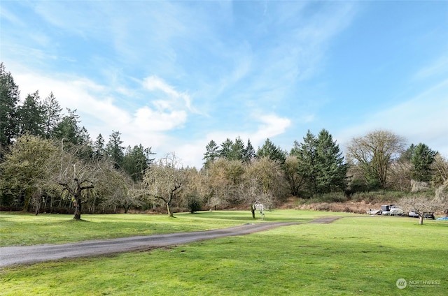 view of property's community featuring a lawn