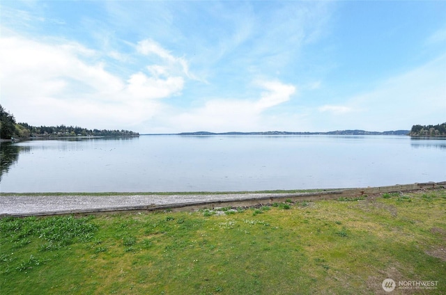 13912 34th St SW, Lakebay, WA 98349 - photo 37