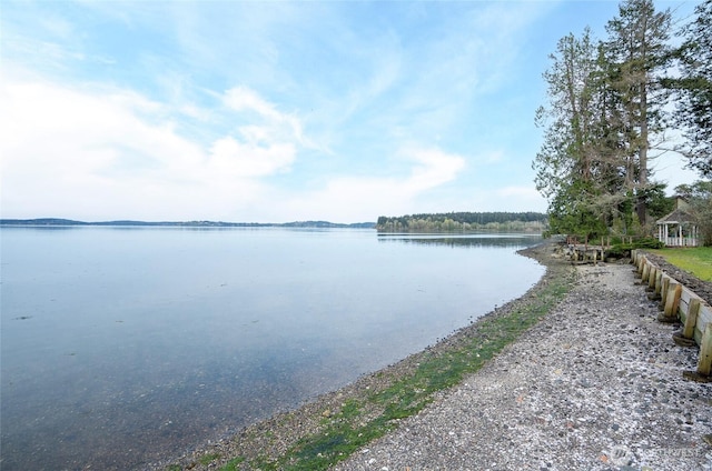 13912 34th St SW, Lakebay, WA 98349 - photo 4