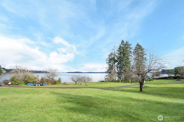 13912 34th St SW, Lakebay, WA 98349 - photo 39