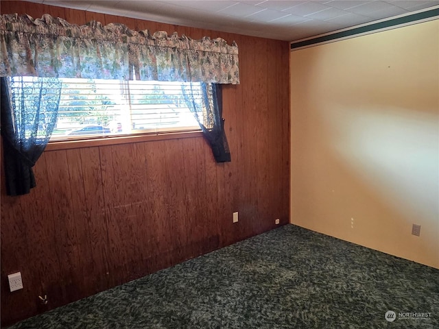 spare room with wood walls and carpet flooring