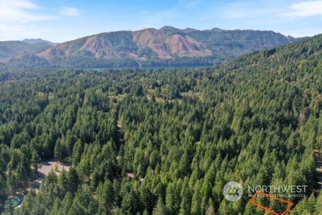 view of mountain feature with a view of trees