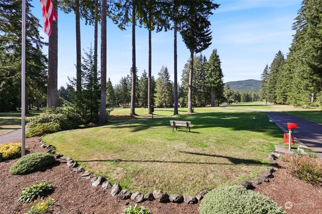 view of home's community featuring a lawn and a mountain view