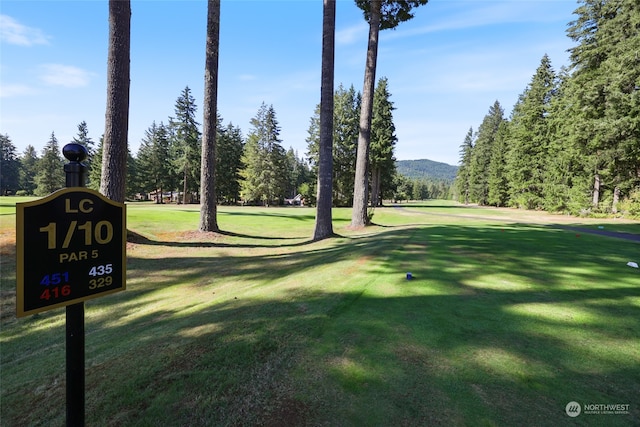 view of property's community with a mountain view and a yard