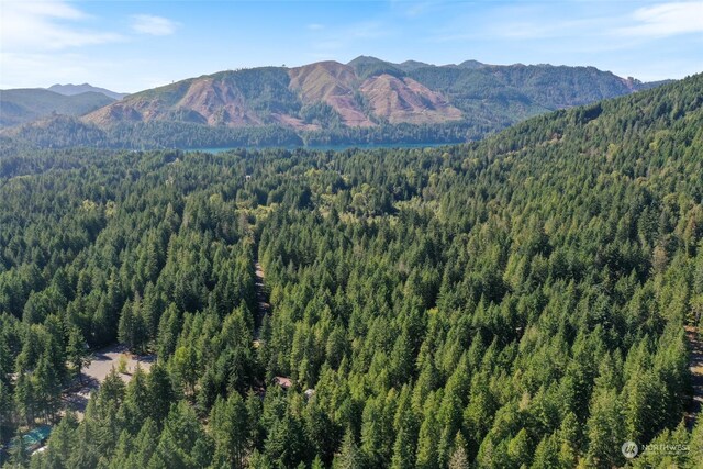 property view of mountains with a wooded view